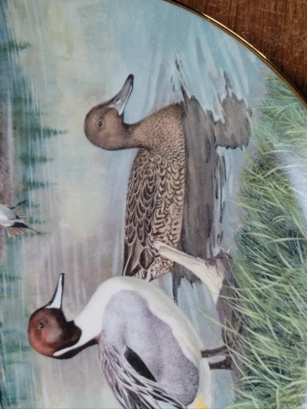 The Wildlife Society Knowles Bart Jerner Game Bird Plate The Pintail COA VCHAH